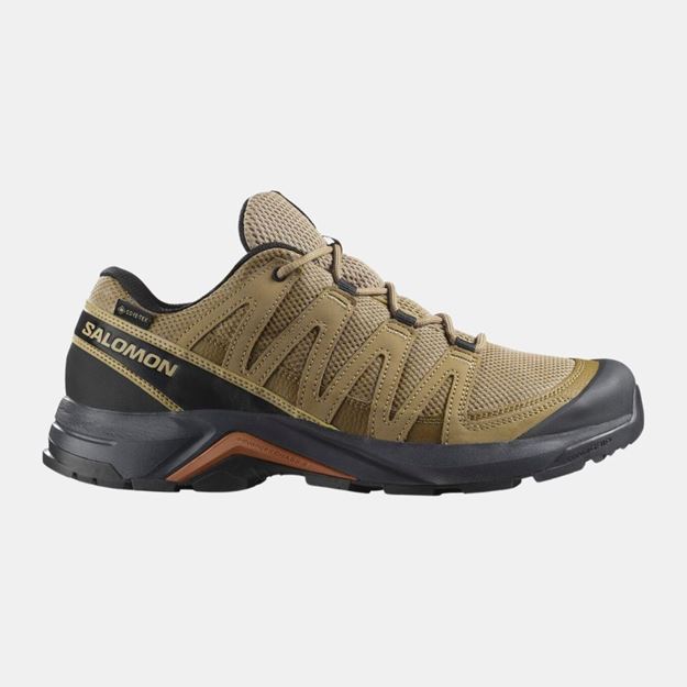 Picture of SALOMON X-ADVANCED RECON GTX KELP